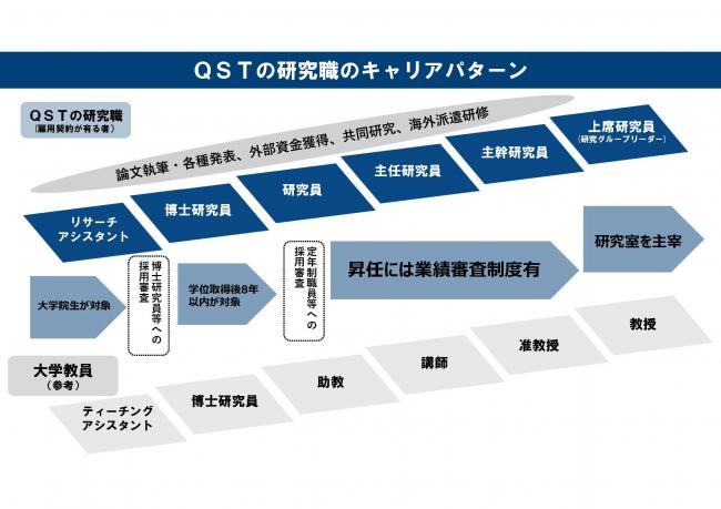 QSTでは、大学院生から研究室の主宰まで長く活躍できるよう、人材育成にも力を入れています。