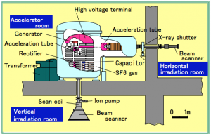 Vertical section of the electron accelerator.