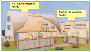 Drawing of the no. 1 and no. 2 Co-60 irradiation facilities.
