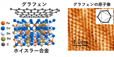 グラフェン/ホイスラー(CFGG)合金積層材料(左)と材料表面のグラフェンの原子