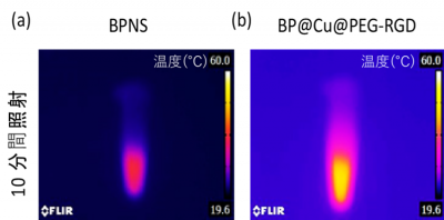 BPNS および BP@Cu@PEG-RGDの 溶液それぞれに、近赤外レーザーを照射した結果