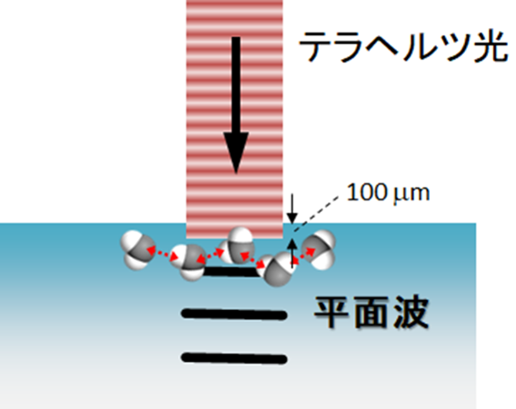図2：テラヘルツ光照射による光音響波発生法の概念図